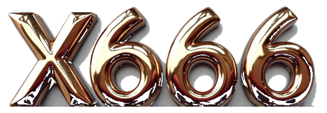 x6666 logo